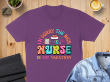 Load image into Gallery viewer, Purple t-shirt with "I'm Sorry The Nice Nurse Is On Vacation" text and medical icons.
