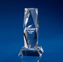 Load image into Gallery viewer, Sandblast Awards
